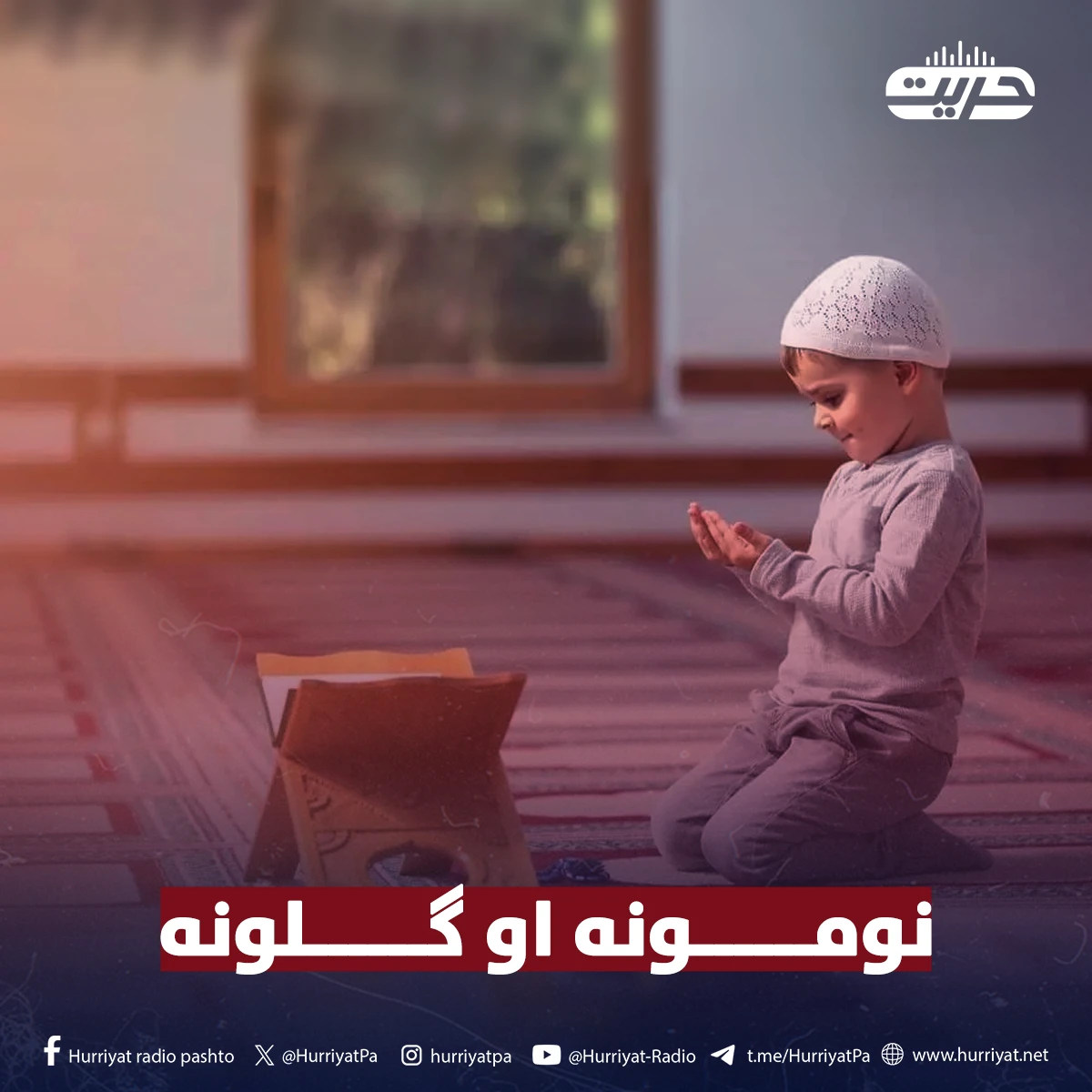 نومونه او ګلونه