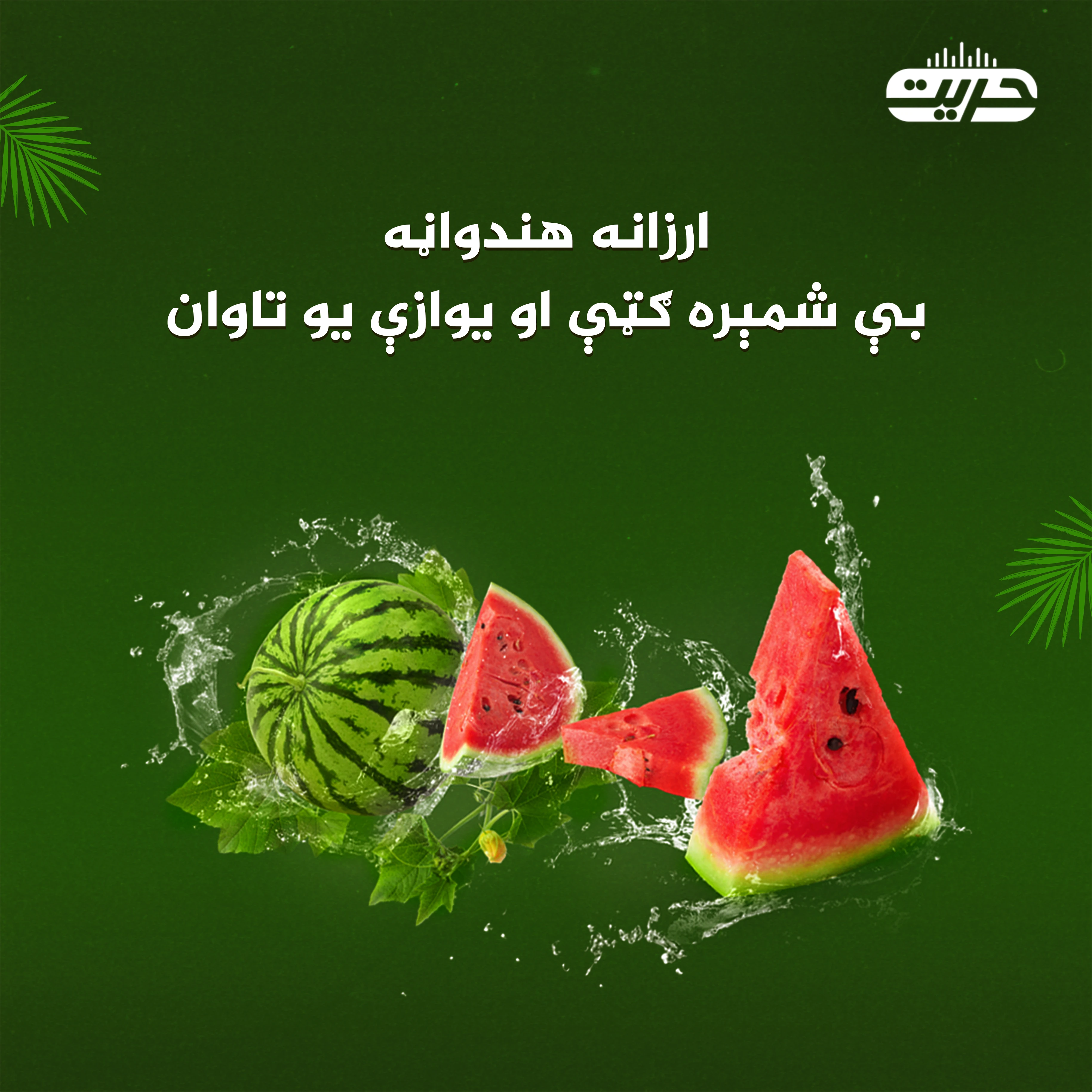 ارزانه هندواڼه.. بې شمېره ګټې او يوازې يو تاوان
