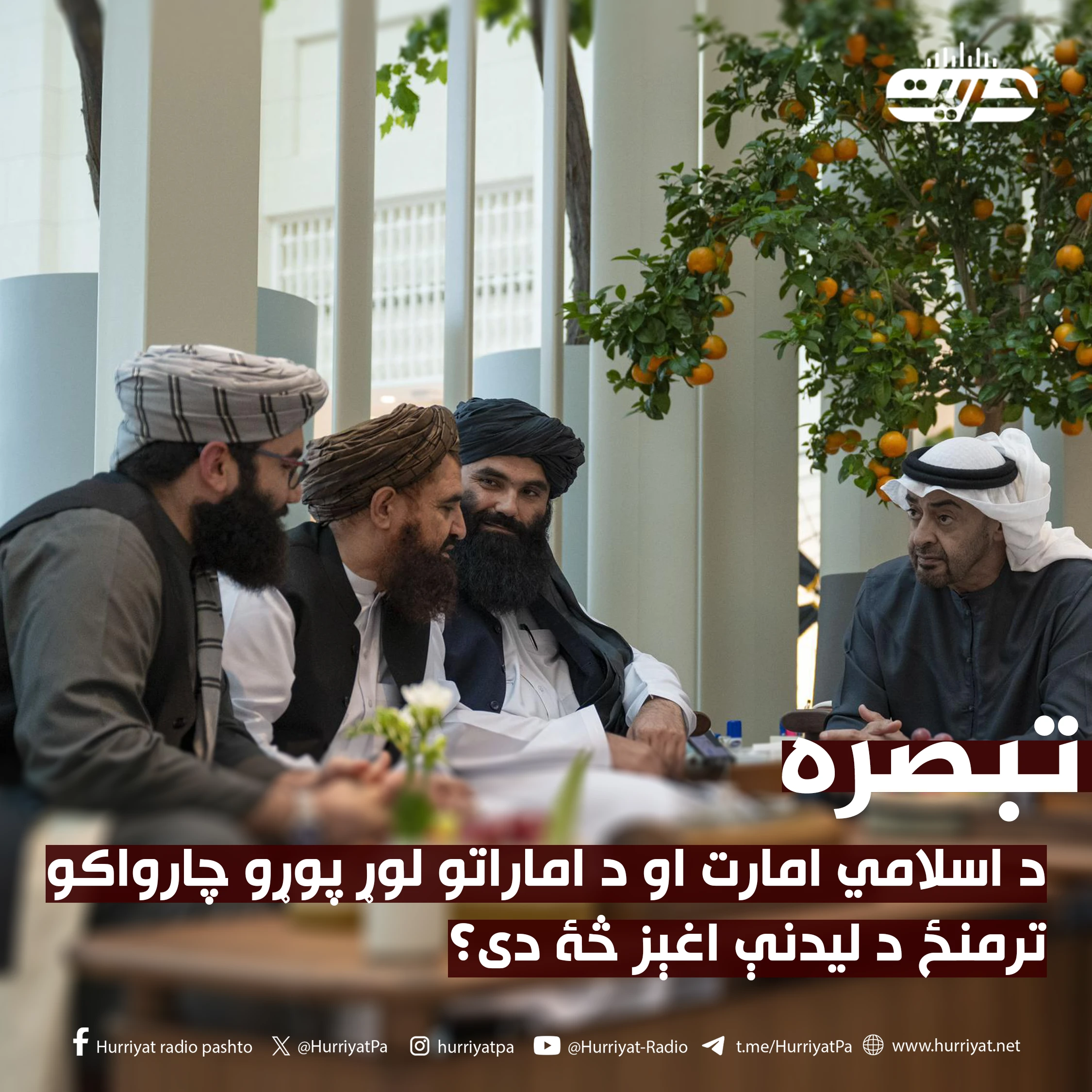 د اسلامي امارت او د اماراتو لوړ پوړو چارواکو ترمنځ د لیدنې اغېز به څۀ وي؟