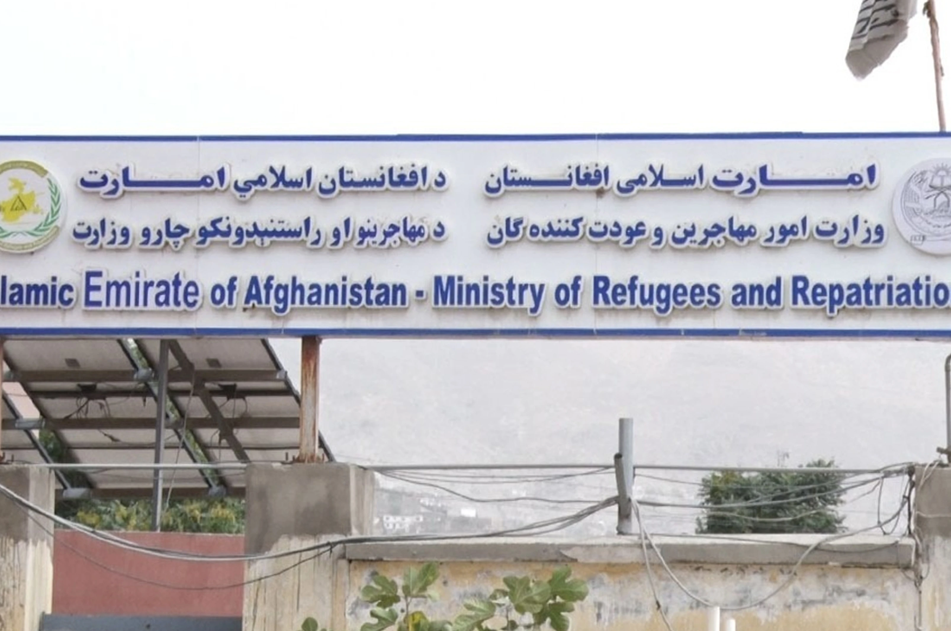 افغان او هالنډي چارواکو کډوالو ته د خدمتونو په وړاندې کولو خبرې وکړې
