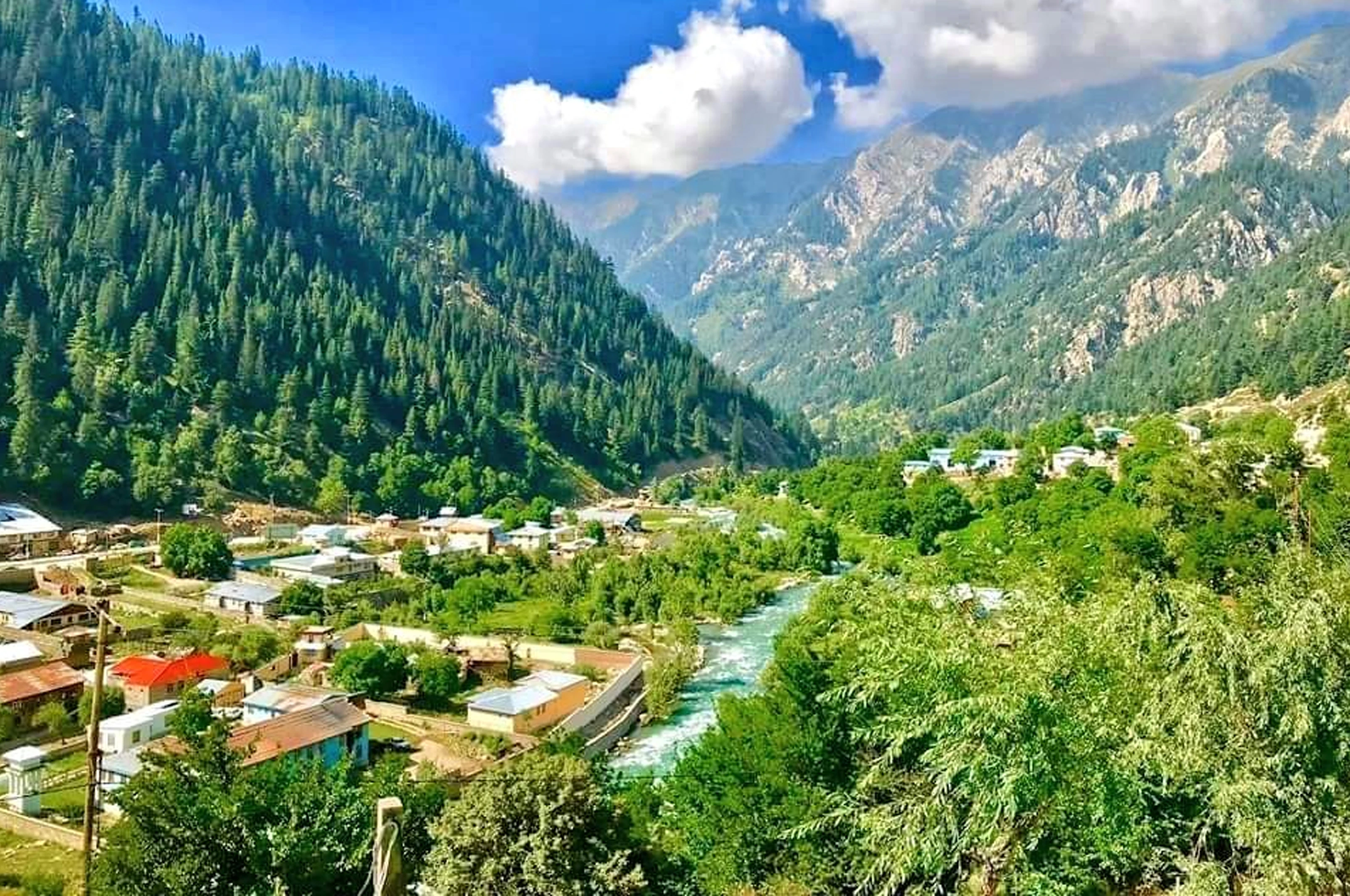 نورستان کې ۱۱ زره هکټاره څړځایونه بیارغول شوي دي