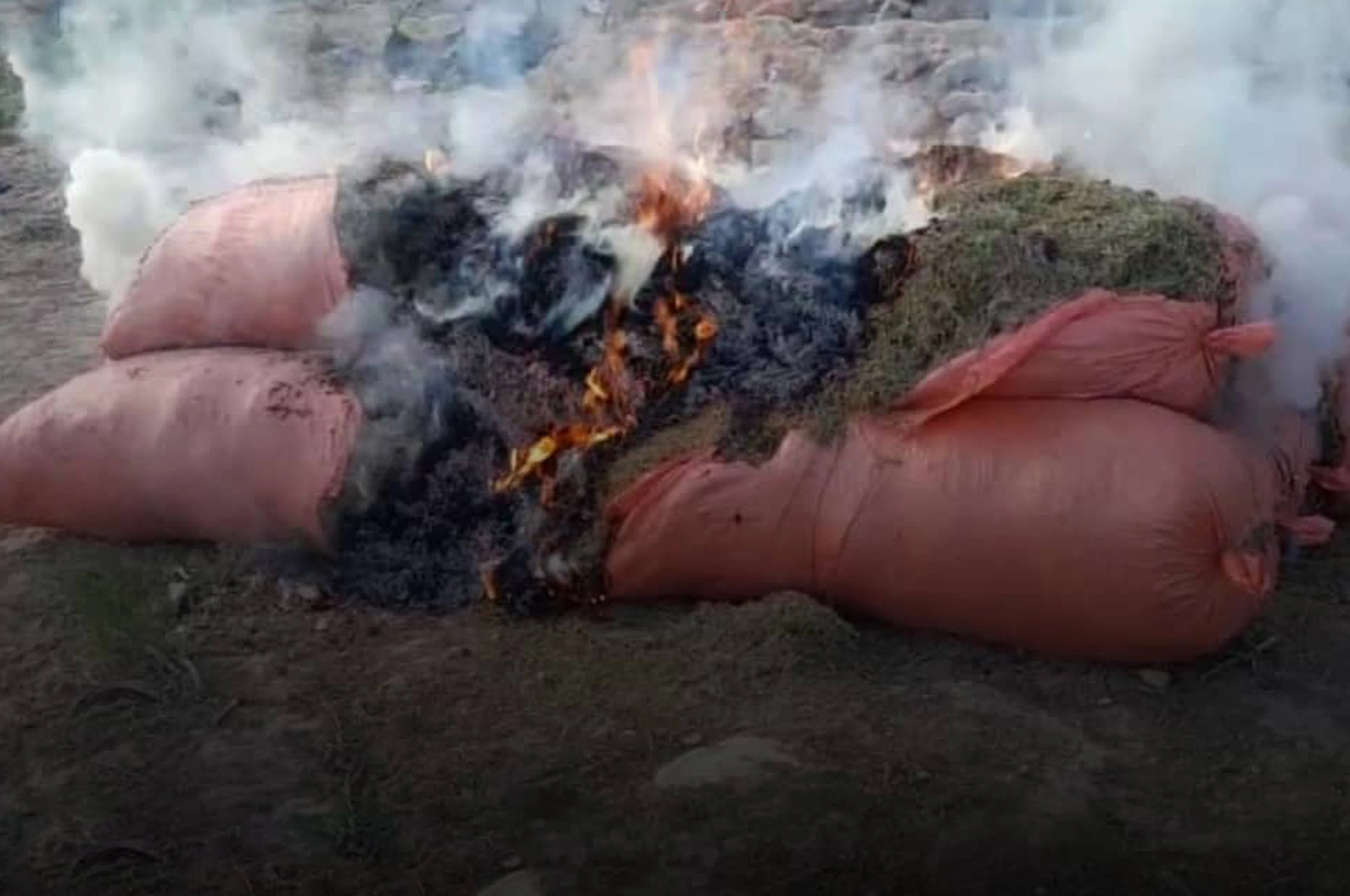 کندهار کې د نشه یې توکو د پېر او پلور په تړاو ۱۱ تنه نيول شوي