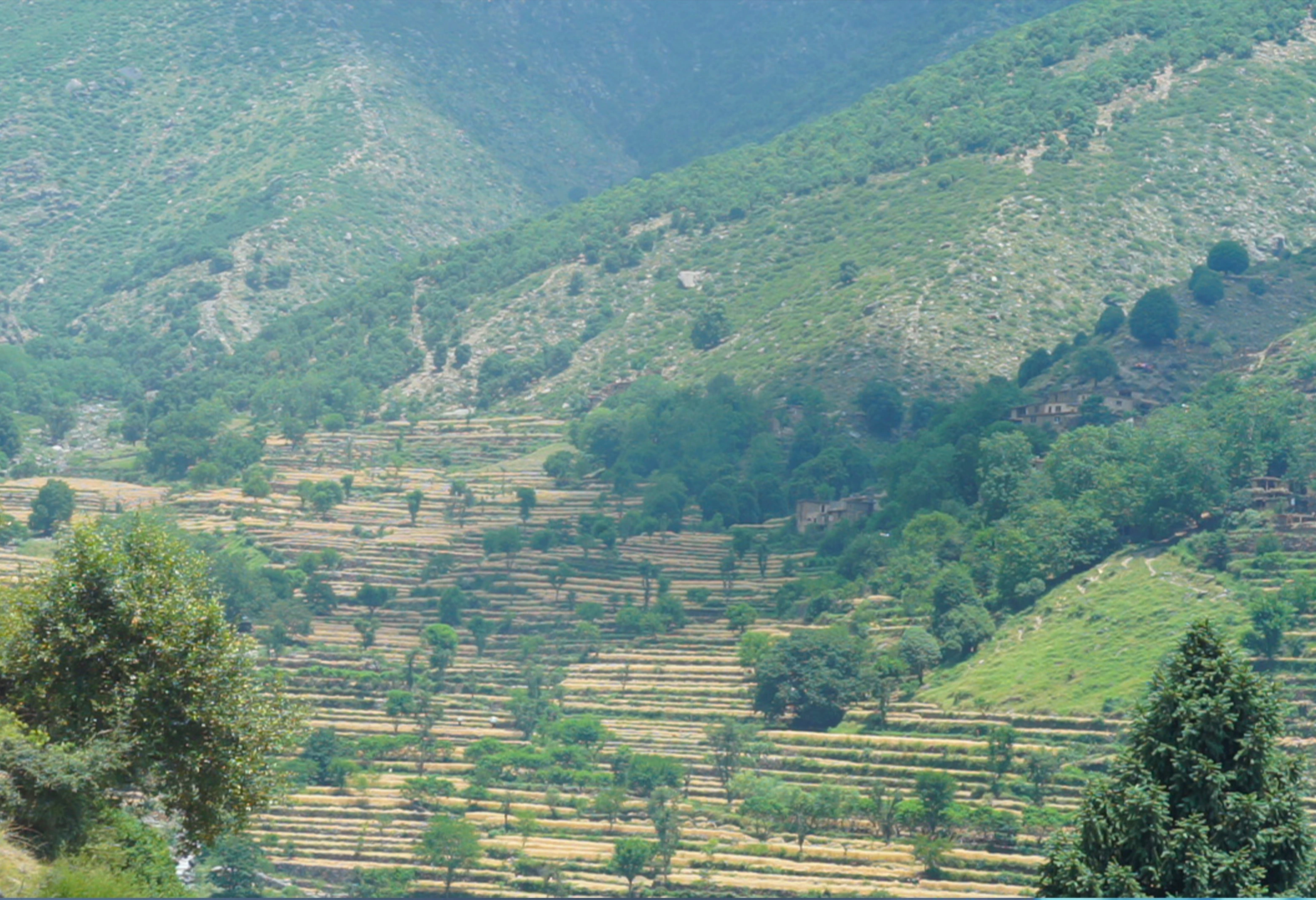 Old Rocket shell explosion in Nangarhar kills and injures four children