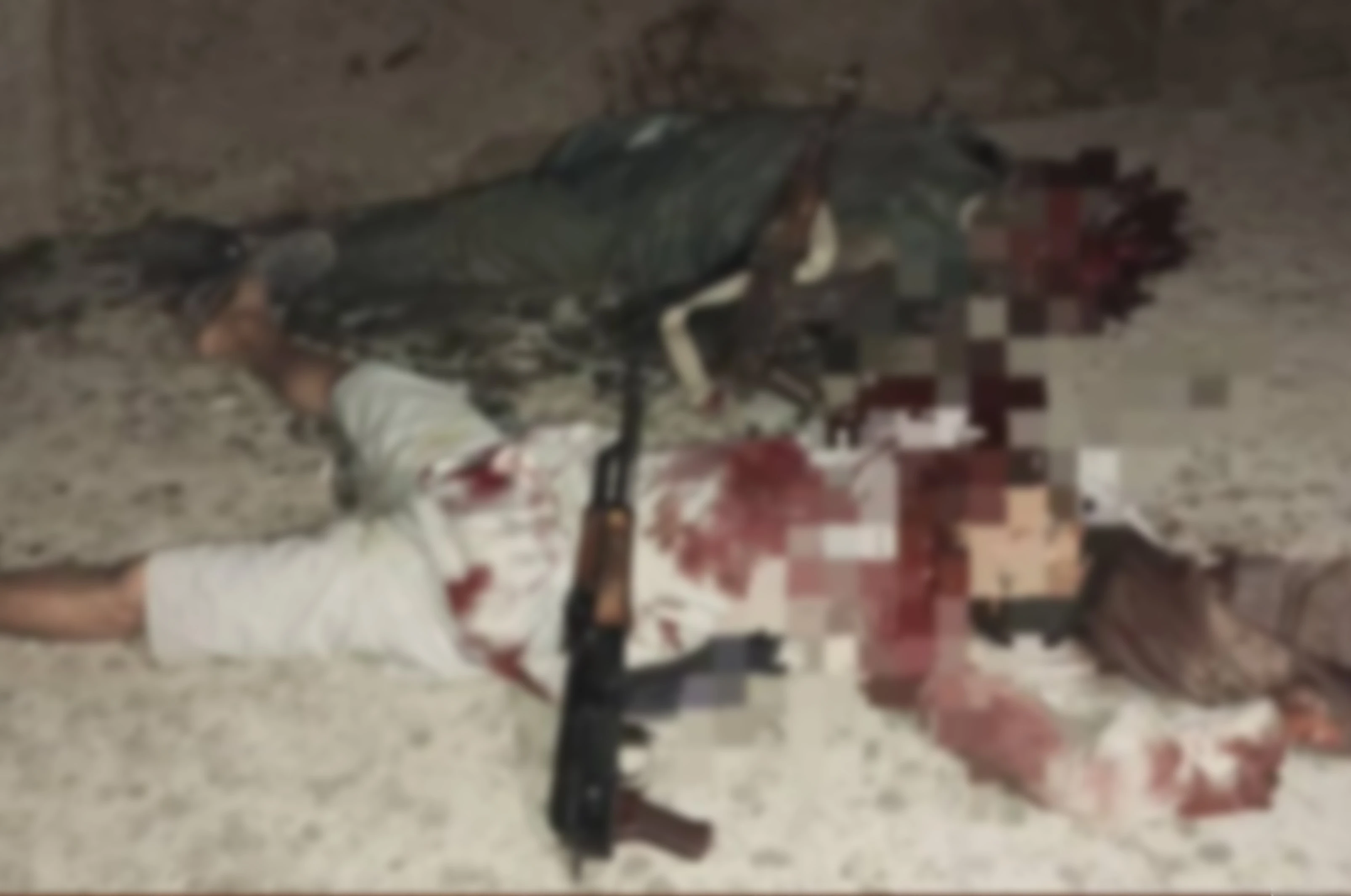 بلخ کې دوه وسله وال غله ووژل شول