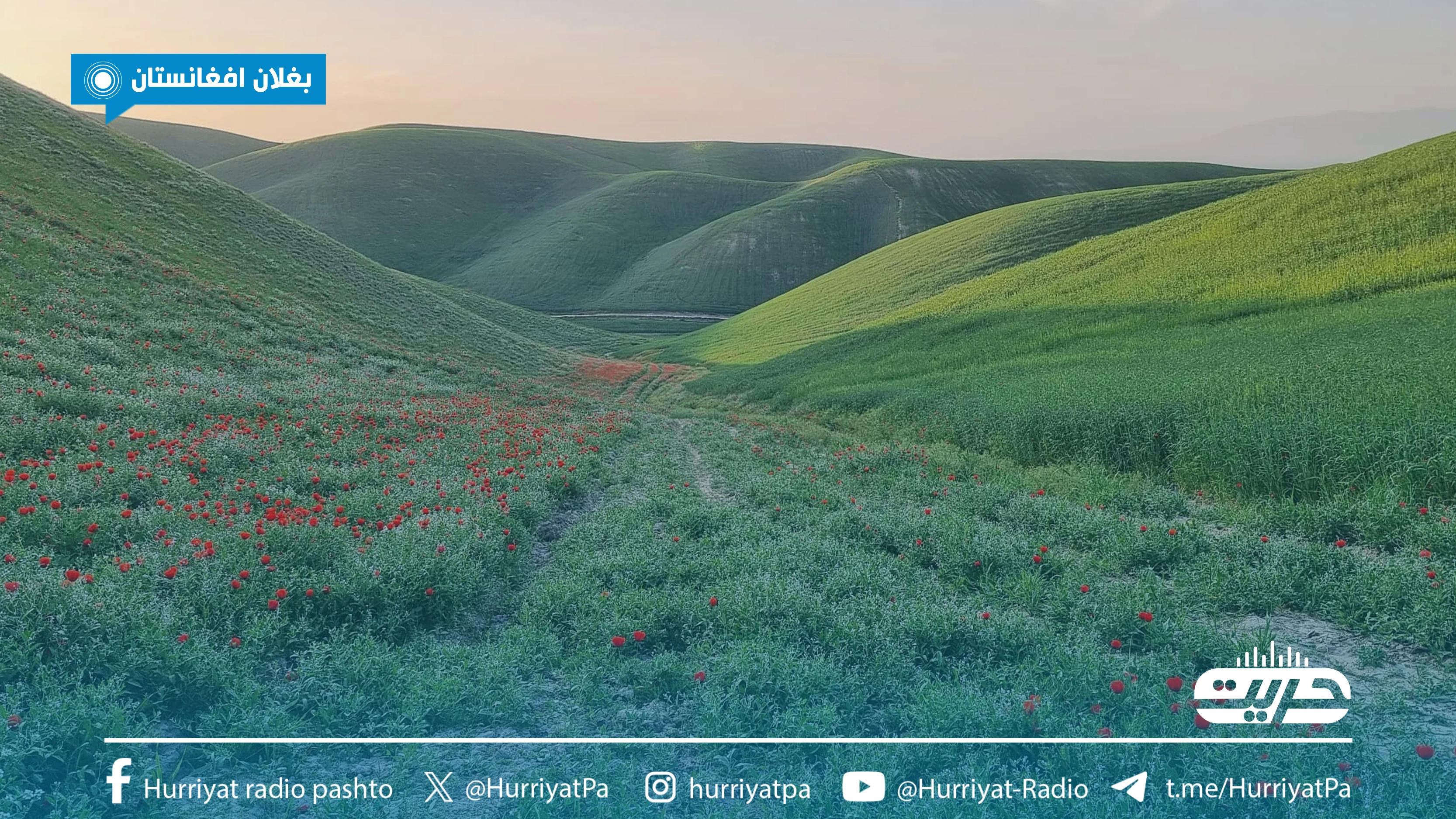 د بغلان ولایت نهرین ولسوالۍ 
